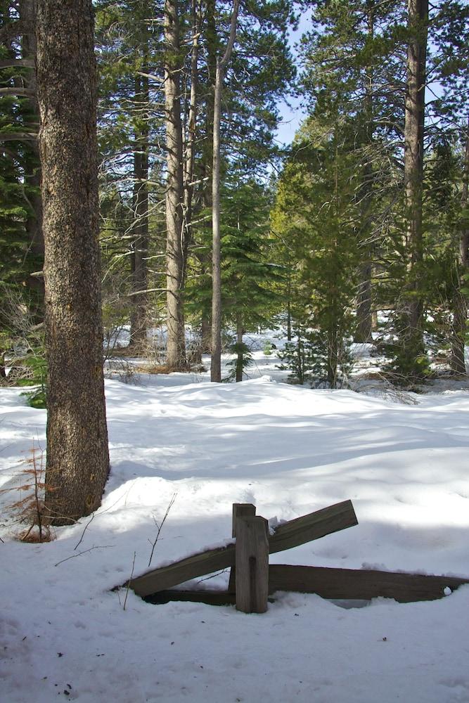 Truckee Donner Lodge Εξωτερικό φωτογραφία